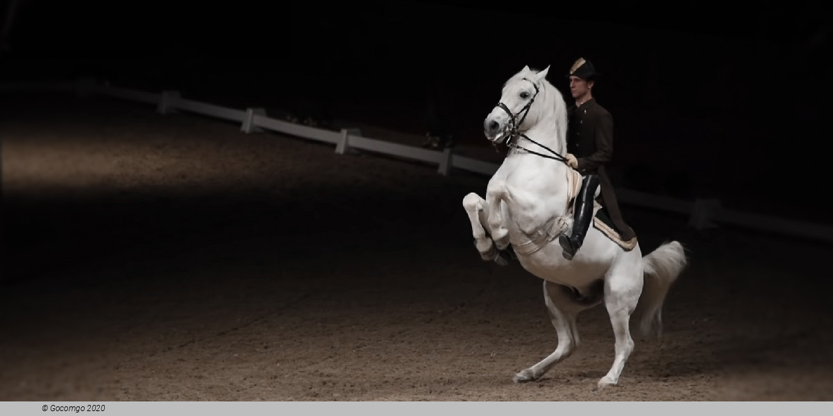 Scene 6 from the show "Spanish Riding School - Performance"