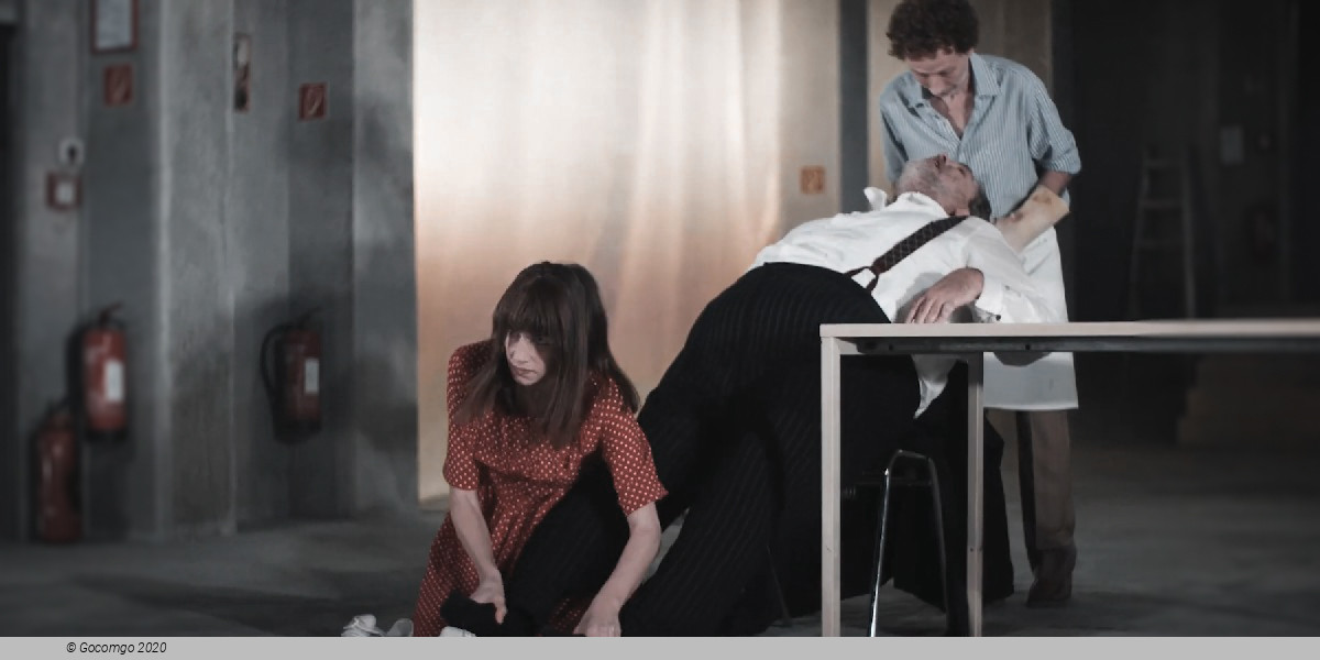 Scene 3 from the play "Der Theatermacher", photo 3