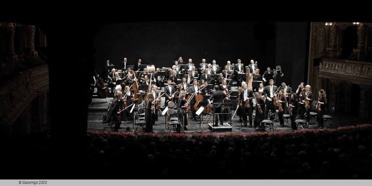 Orchestra La Scintilla, photo 1