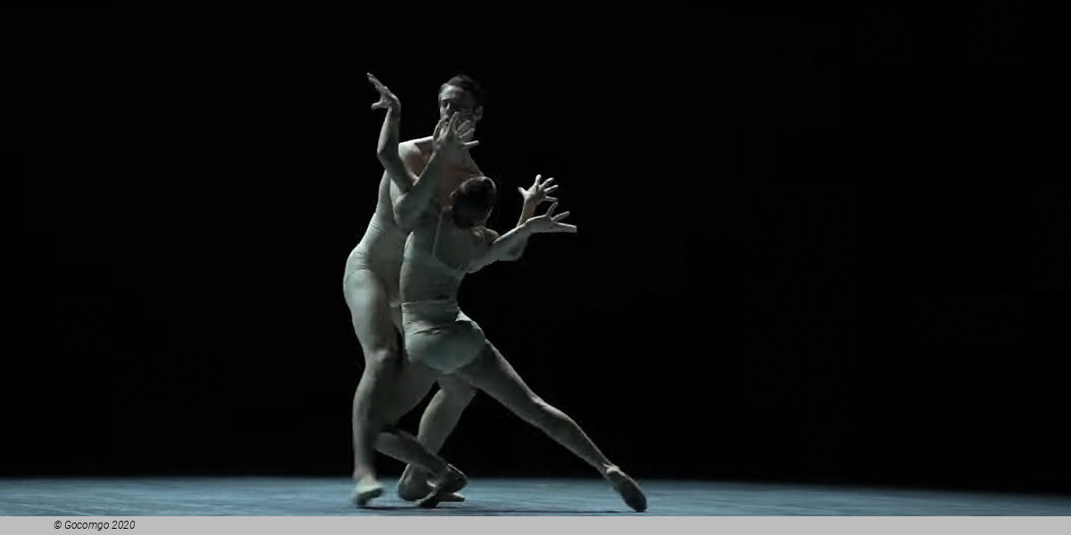 Scene 4 from the modern ballet "Almost Blue", photo 4