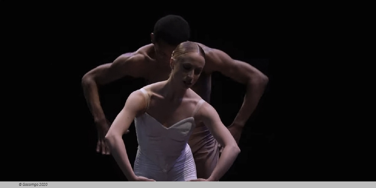 New Moves - various choreographies, photo 2