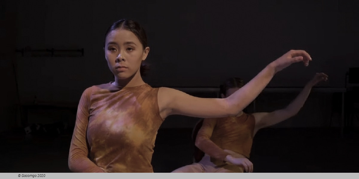 New Moves - various choreographies, photo 1