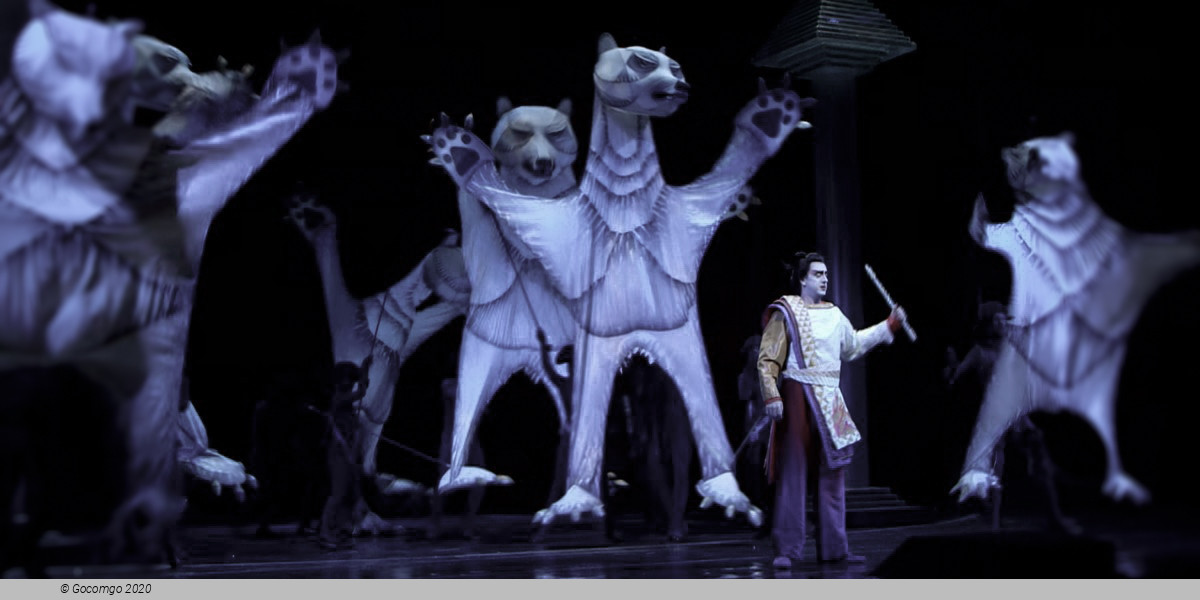 The Magic Flute - Holiday Presentation, photo 13