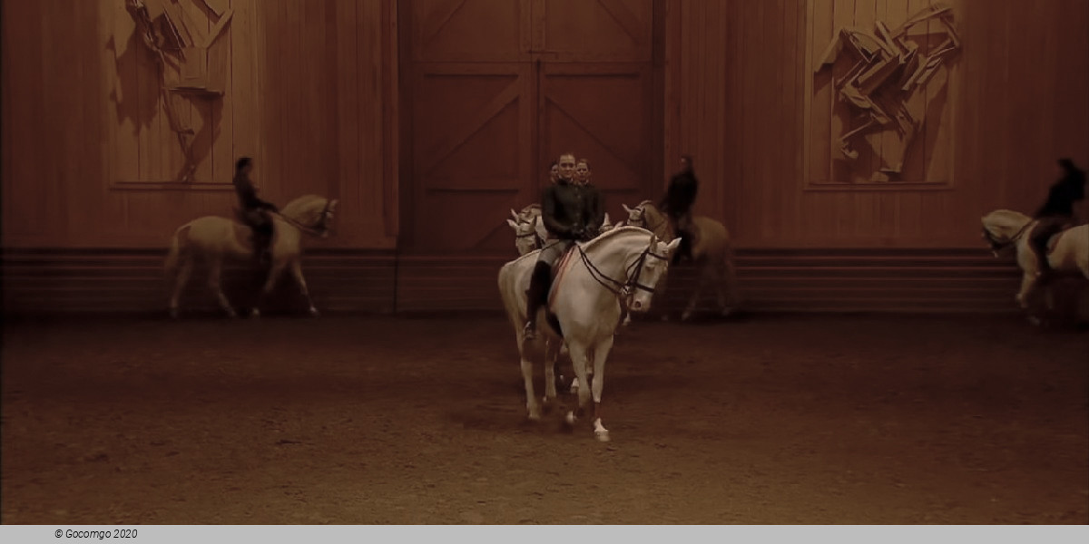 Program of the National Equestrian Academy of Versailles, photo 1, photo 2
