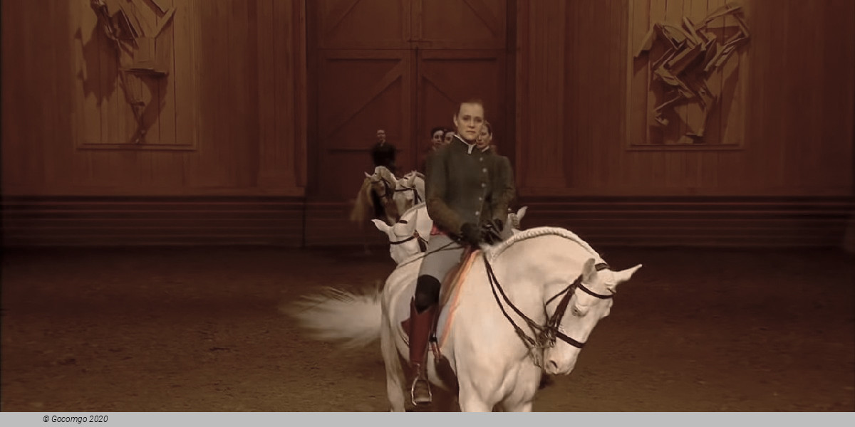 Program of the National Equestrian Academy of Versailles, photo 2, photo 3