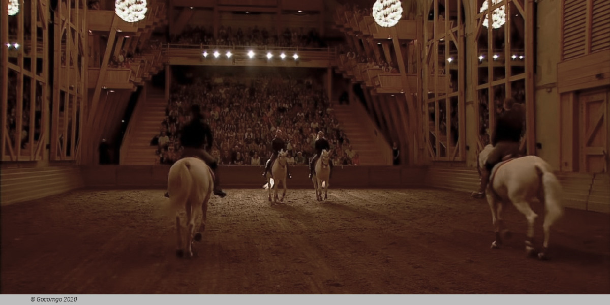 Program of the National Equestrian Academy of Versailles, photo 3, photo 1