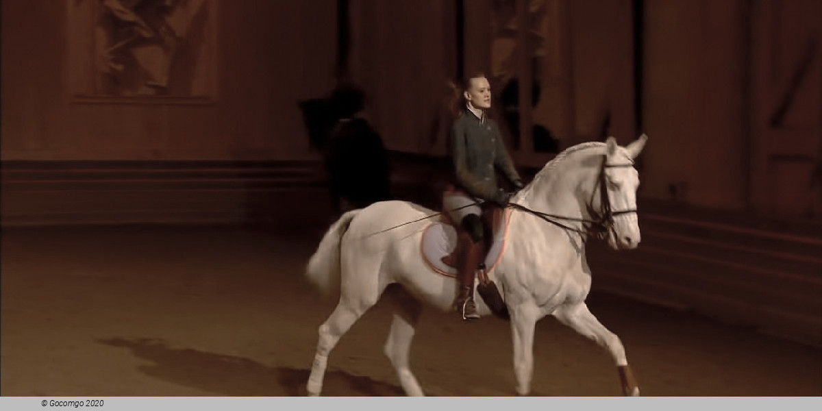 Program of the National Equestrian Academy of Versailles, photo 4, photo 4