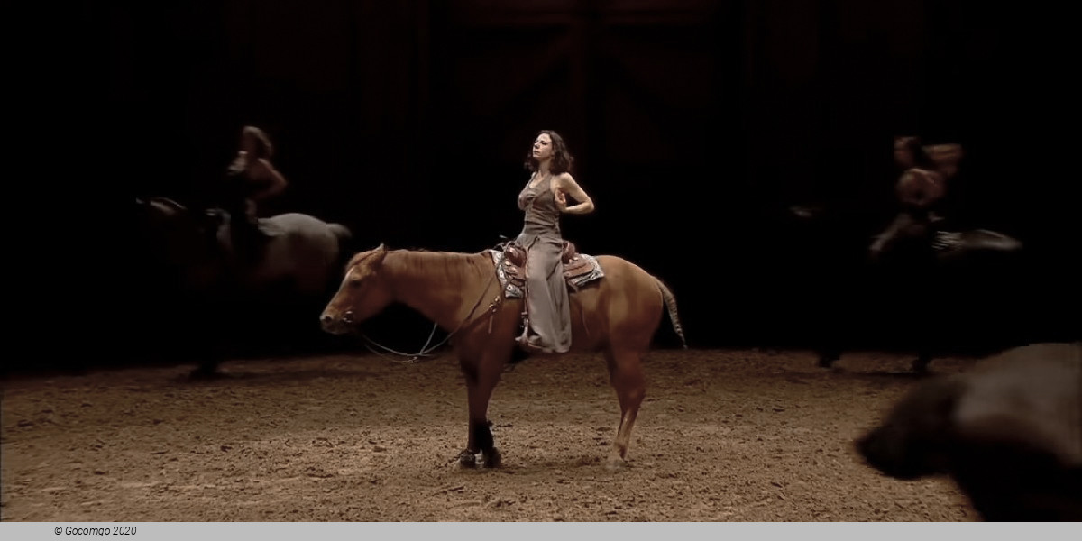 Program of the National Equestrian Academy of Versailles, photo 5, photo 5