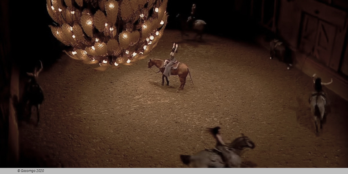 Program of the National Equestrian Academy of Versailles, photo 6, photo 6