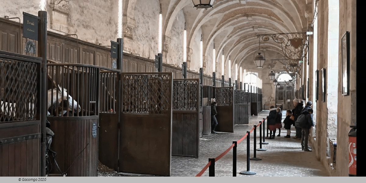 Program of the National Equestrian Academy of Versailles, photo 7, photo 7