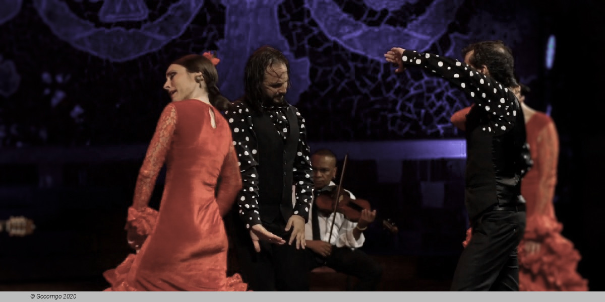 Scene 1 from the show Grand Flamenco Gala, photo 2