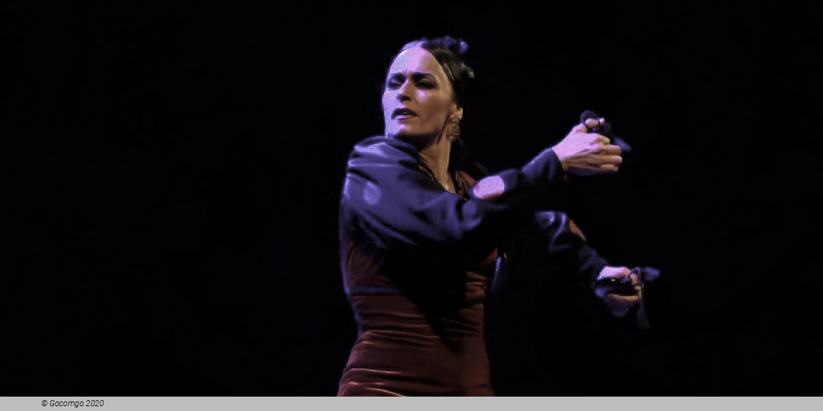 Scene 2 from the show Grand Flamenco Gala, photo 3