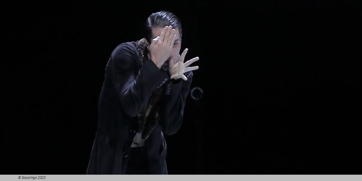 Scene 3 from the modern ballet "Nijinsky", photo 3