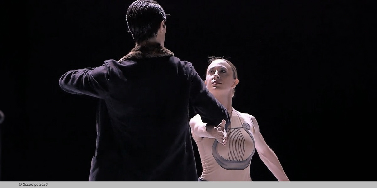 Scene 4 from the modern ballet "Nijinsky", photo 4
