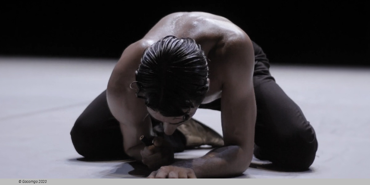 Scene 5 from the modern ballet "Nijinsky", photo 5