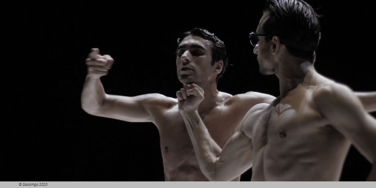 Scene 8 from the modern ballet "Nijinsky", photo 8