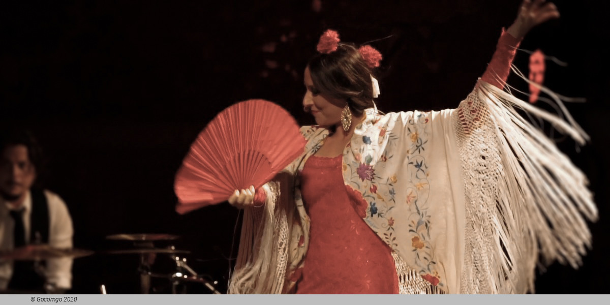 Scene 2 from the Gran Gala Flamenco show, photo 1