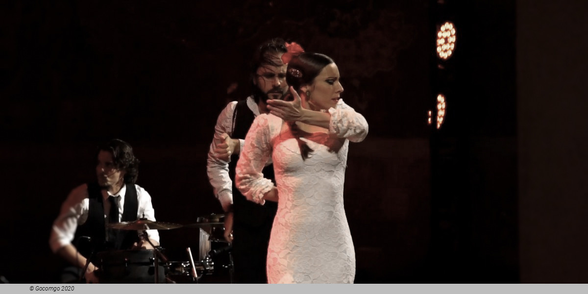 Scene 6 from the Gran Gala Flamenco show, photo 6