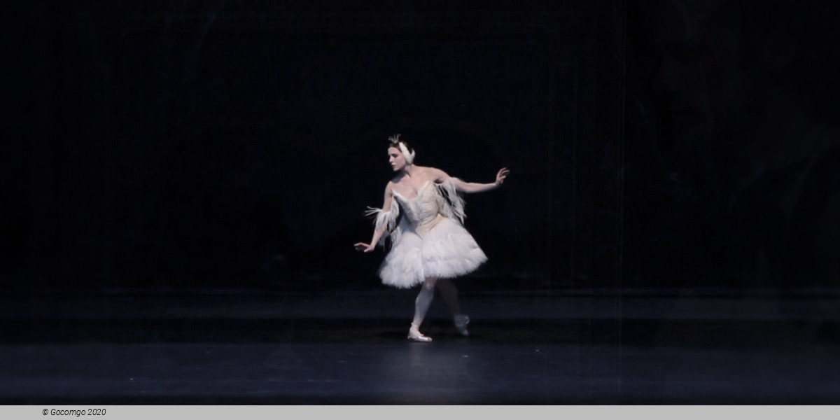 Scene 2 from the ballet "Illusions – like Swan Lake"