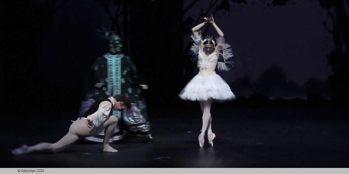 Scene 8 from the ballet "Illusions – like Swan Lake"