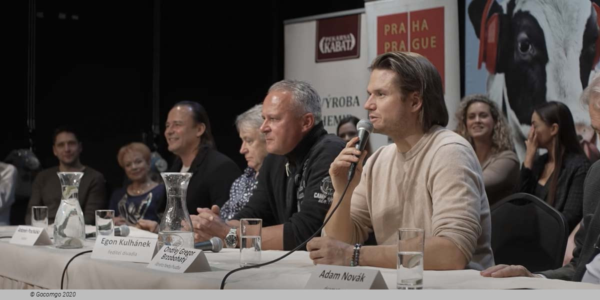 Karlin Musical Theatre troupe 2, photo 2