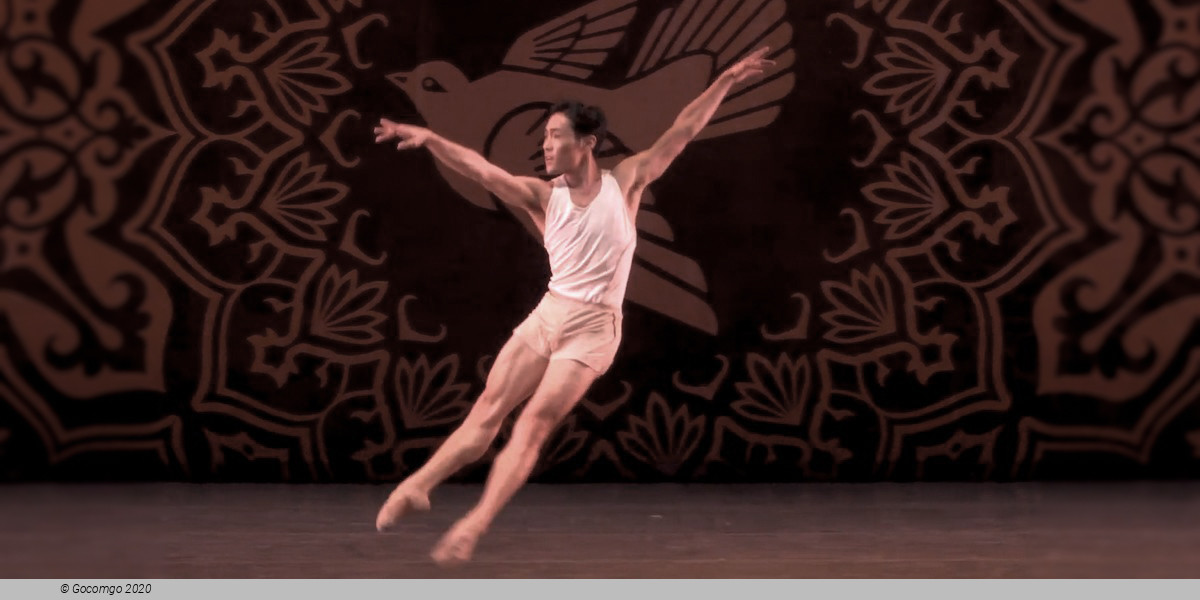 Scene 2 from the modern ballet "Heatscape", photo 1