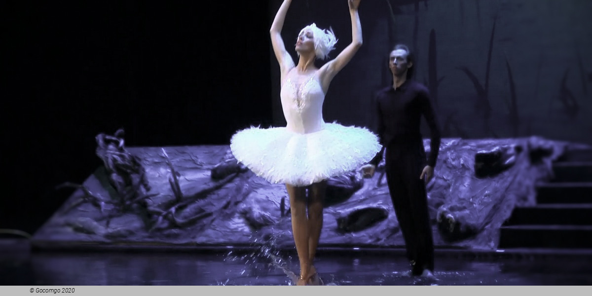 Scene 1 from the show "Swan Lake on the Water", photo 2