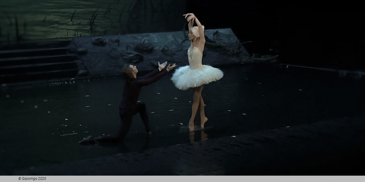 Scene 3 from the show "Swan Lake on the Water", photo 1