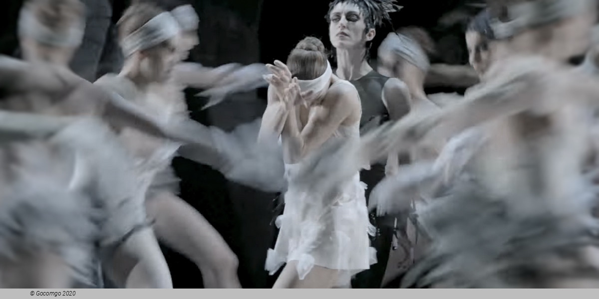 Scene 4 from the modern ballet "Lac - after the Swan Lake", photo 1