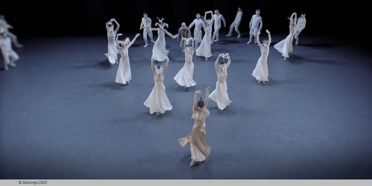 Scene 5 from the modern ballet "Lac - after the Swan Lake", photo 5