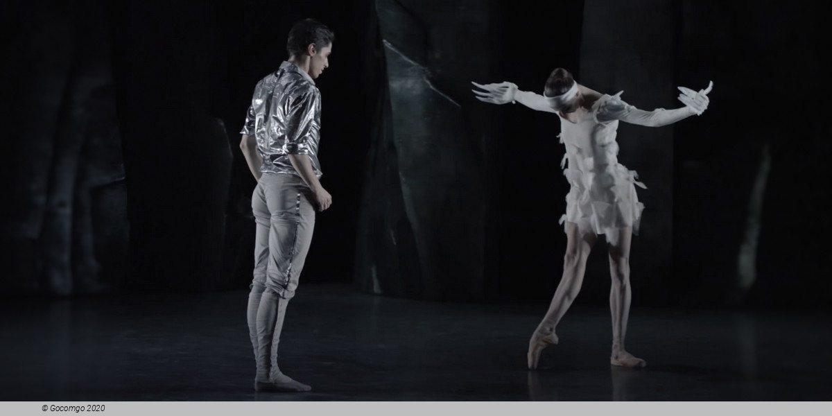 Scene 6 from the modern ballet "Lac - after the Swan Lake", photo 6