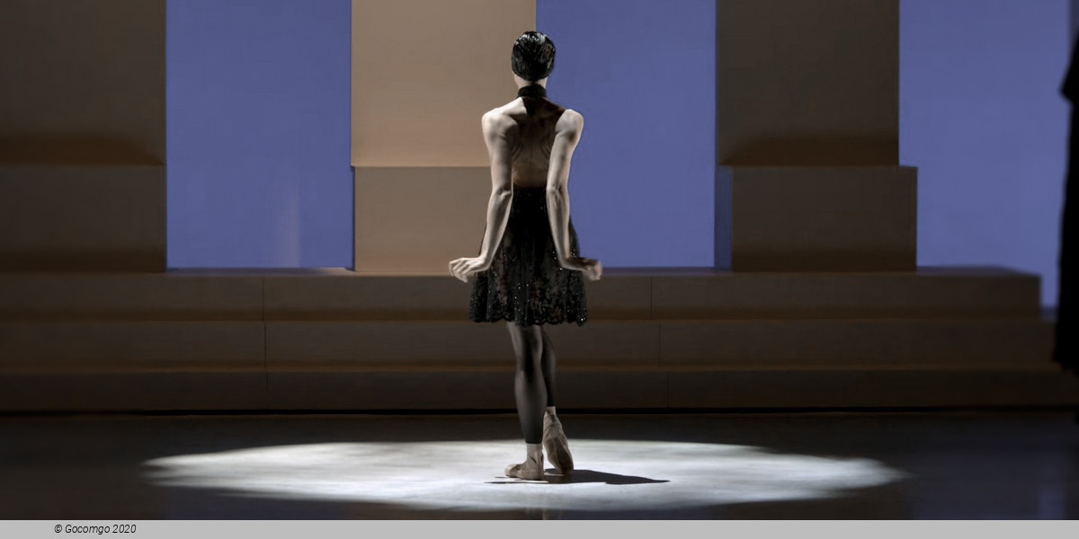 Scene 7 from the modern ballet "Lac - after the Swan Lake", photo 7