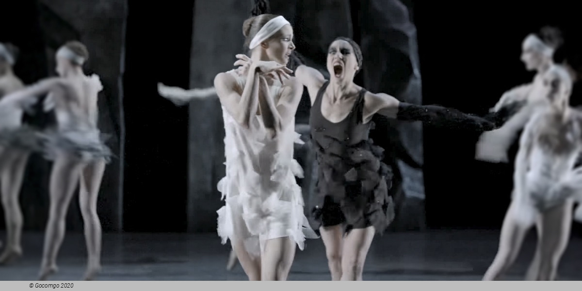 Scene 8 from the modern ballet "Lac - after the Swan Lake", photo 8