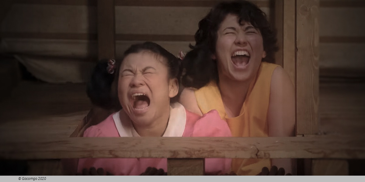 My Neighbour Totoro, photo 4