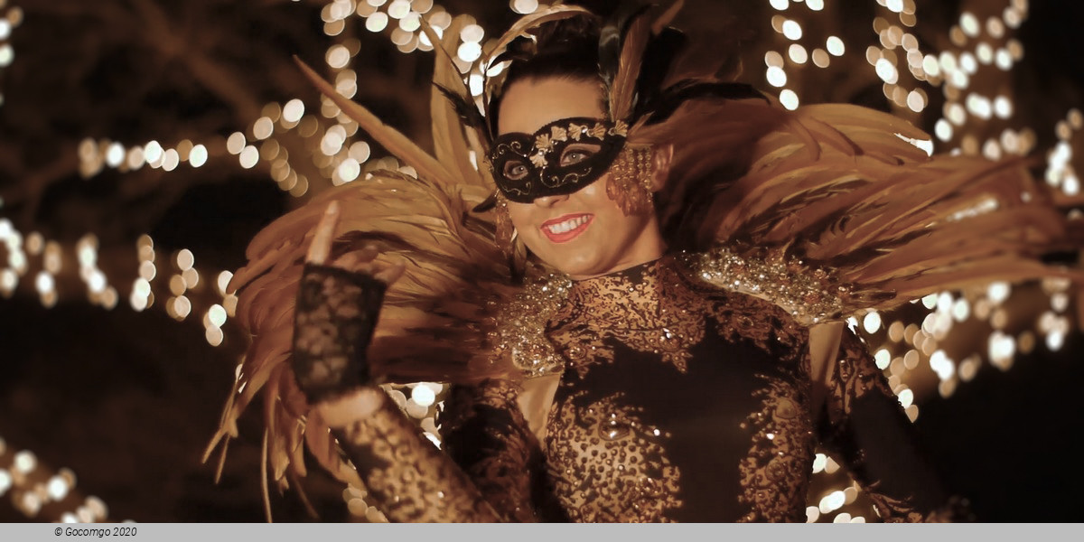 New Year's Masquerade, photo 1