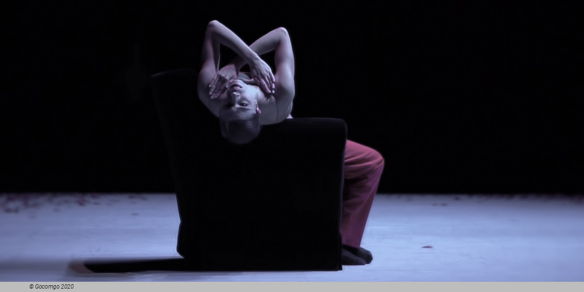 Scene 2 from the modern ballet "Nijinski", photo 3