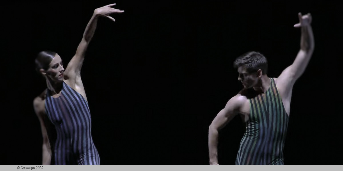 Scene 1 from the modern ballet "Concertante", photo 2