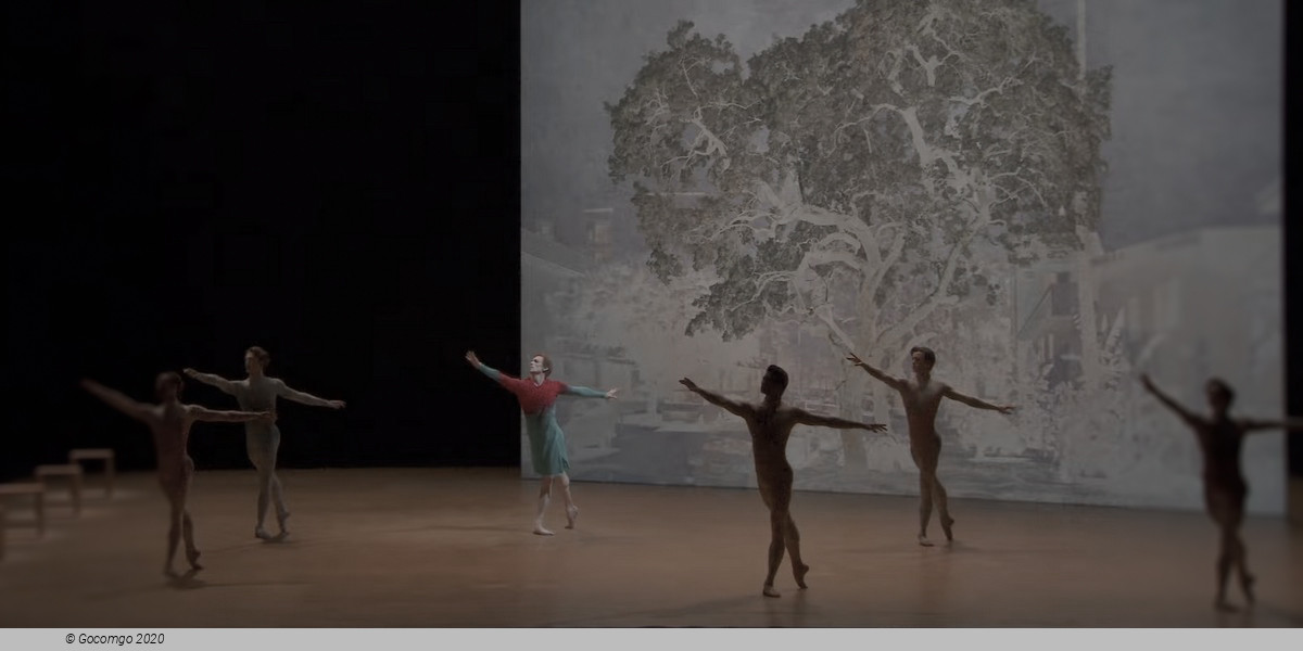 Scene 7 from the modern ballet "The Dante Project", photo 7