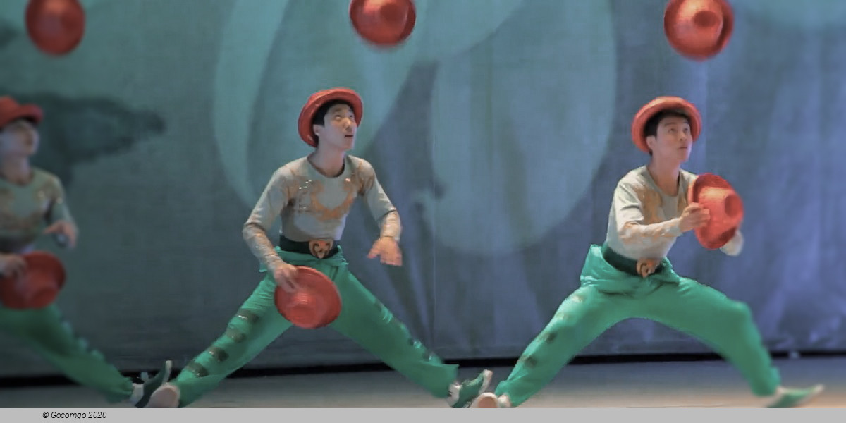 Shanghai Dinner and Acrobatics Show, photo 3