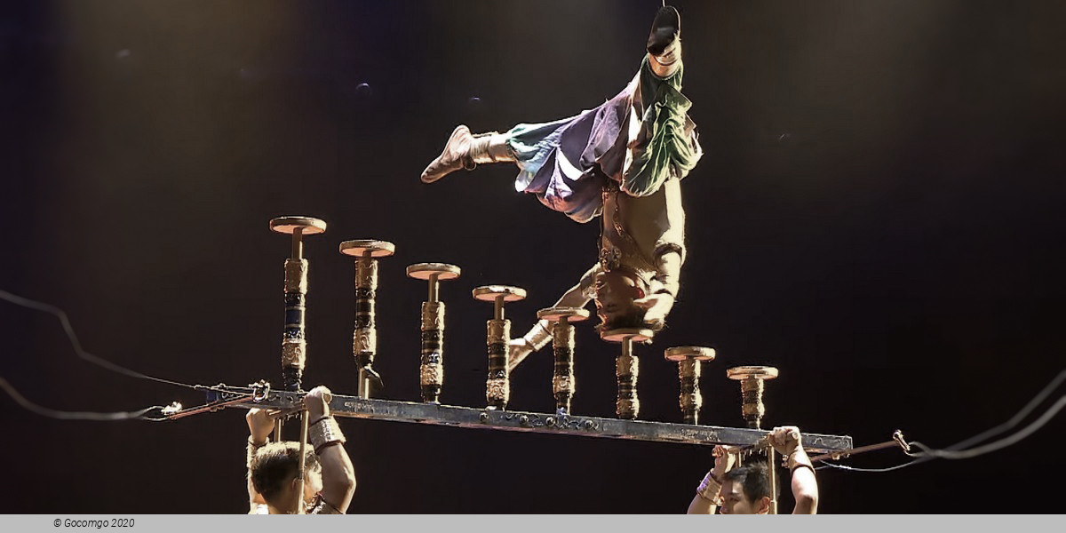 Shanghai Dinner and Acrobatics Show, photo 1