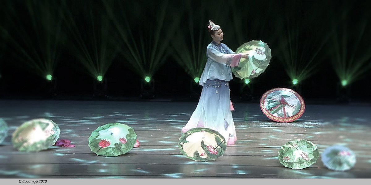 Shanghai Dinner and Acrobatics Show, photo 4