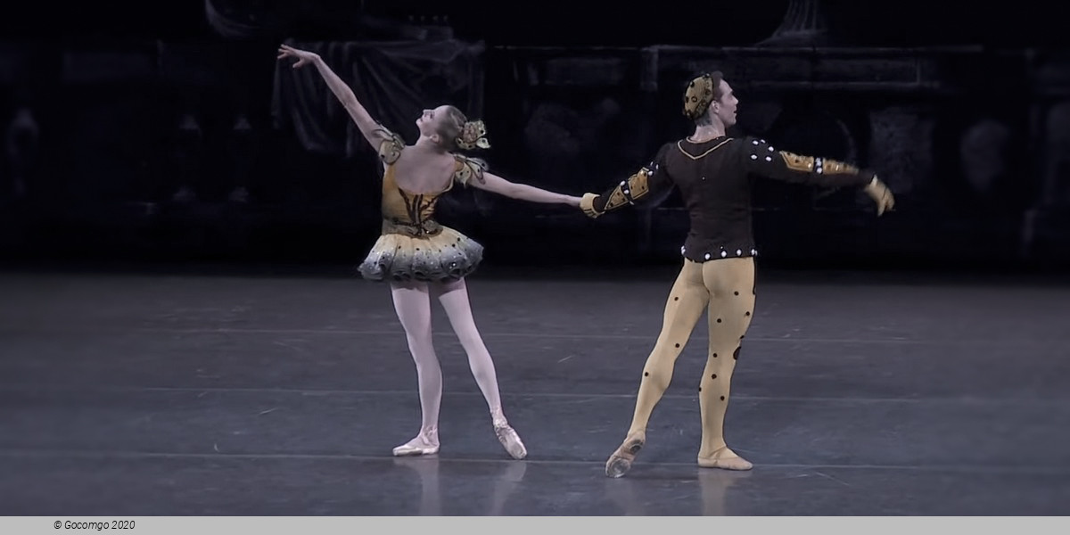 Danses Concertantes / Different Drummer / Requiem, photo 2