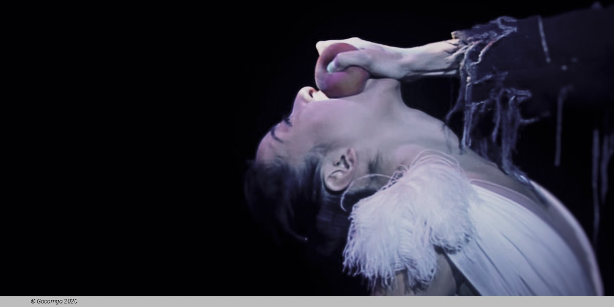 Ballet Preljocaj: Snow White, photo 2