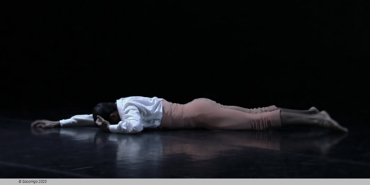 Ballet Preljocaj: Snow White, photo 4