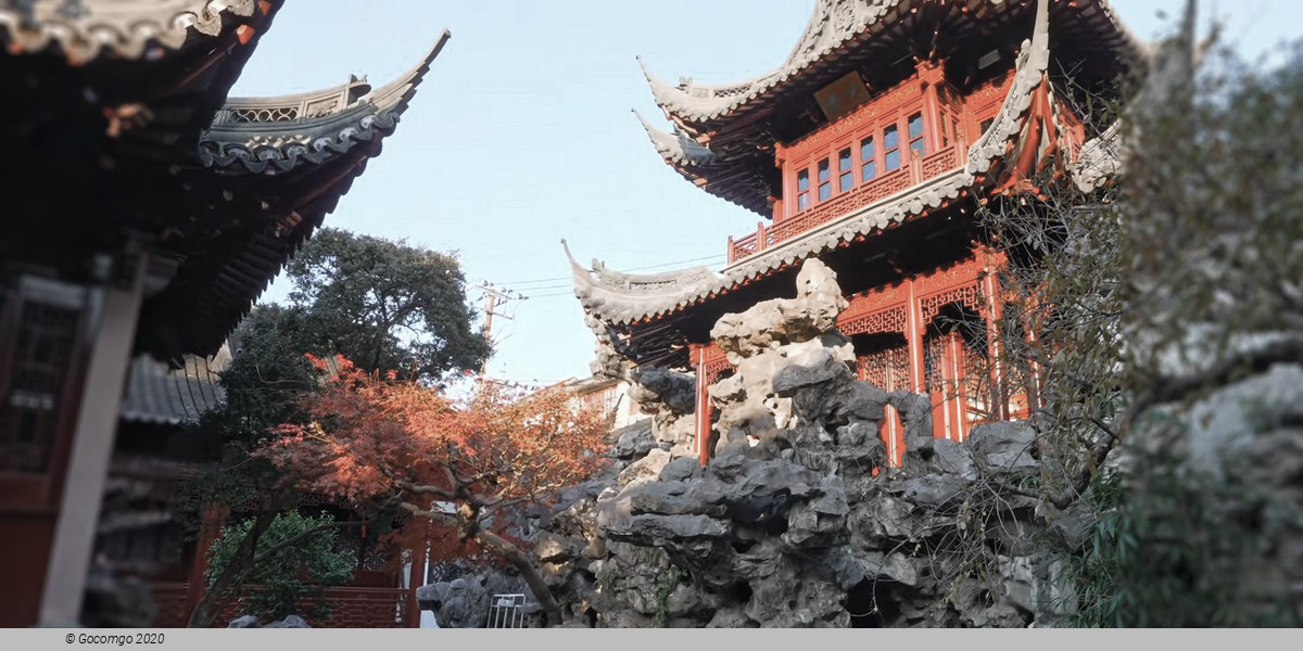 Private Shore Excursion of Amazing Shanghai City Highlights with Lunch, photo 2