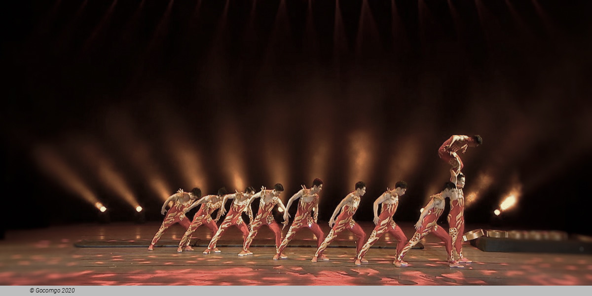 Din Tai Fung Dinner Experience and Acrobatics Show in Shanghai, photo 6