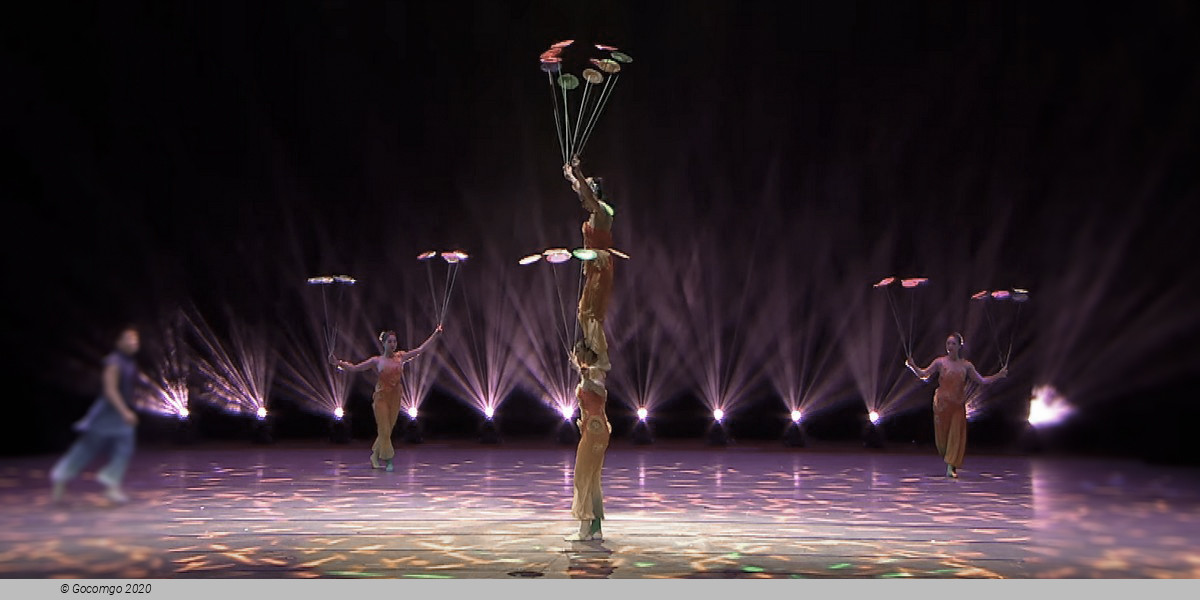 Din Tai Fung Dinner Experience and Acrobatics Show in Shanghai, photo 8