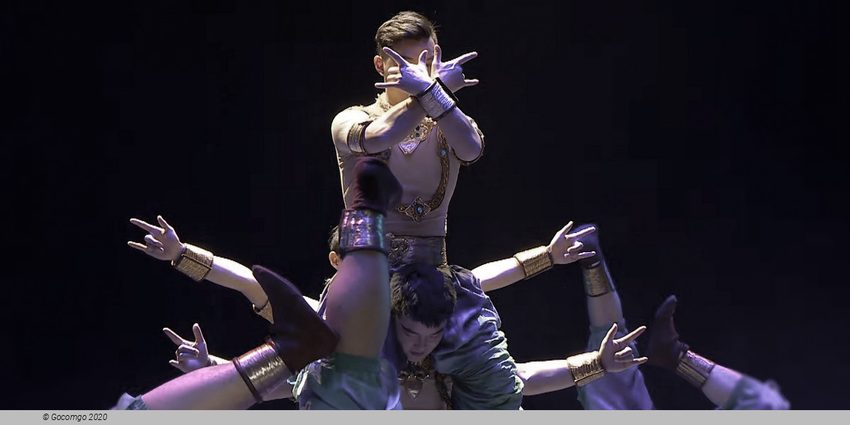 Din Tai Fung Dinner Experience and Acrobatics Show in Shanghai, photo 1