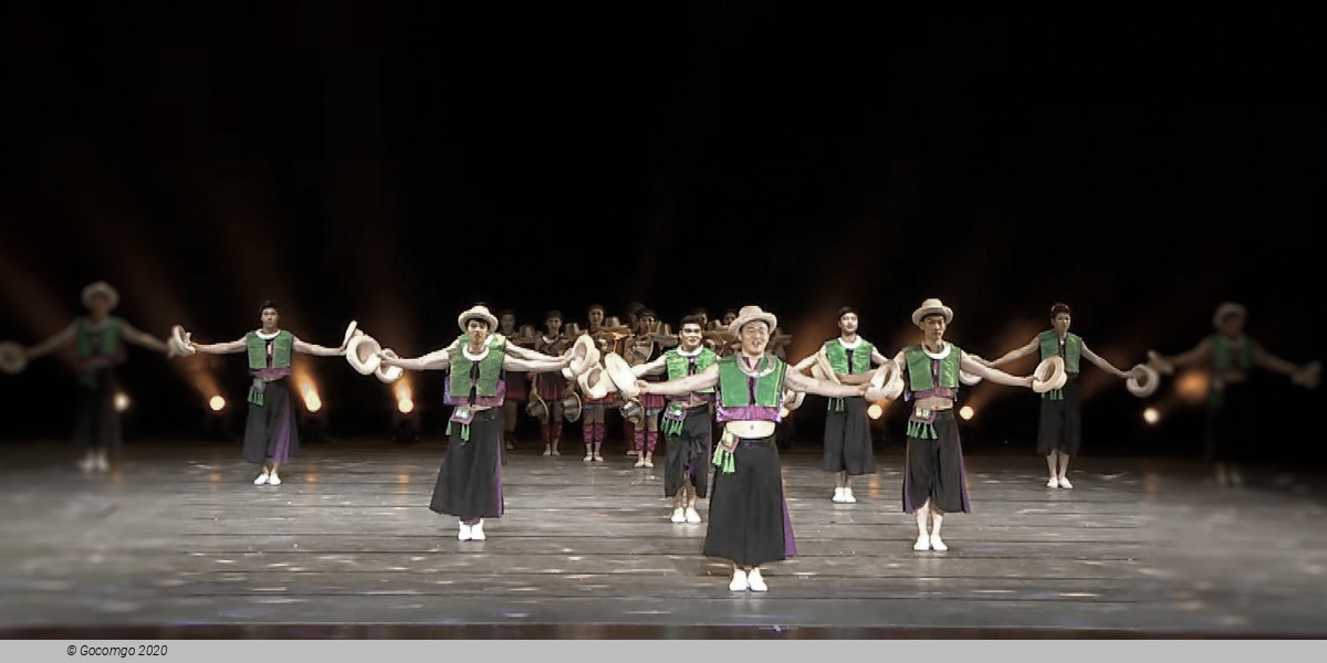 Shanghai Acrobatic Show Ticket with Private Transfer, photo 2