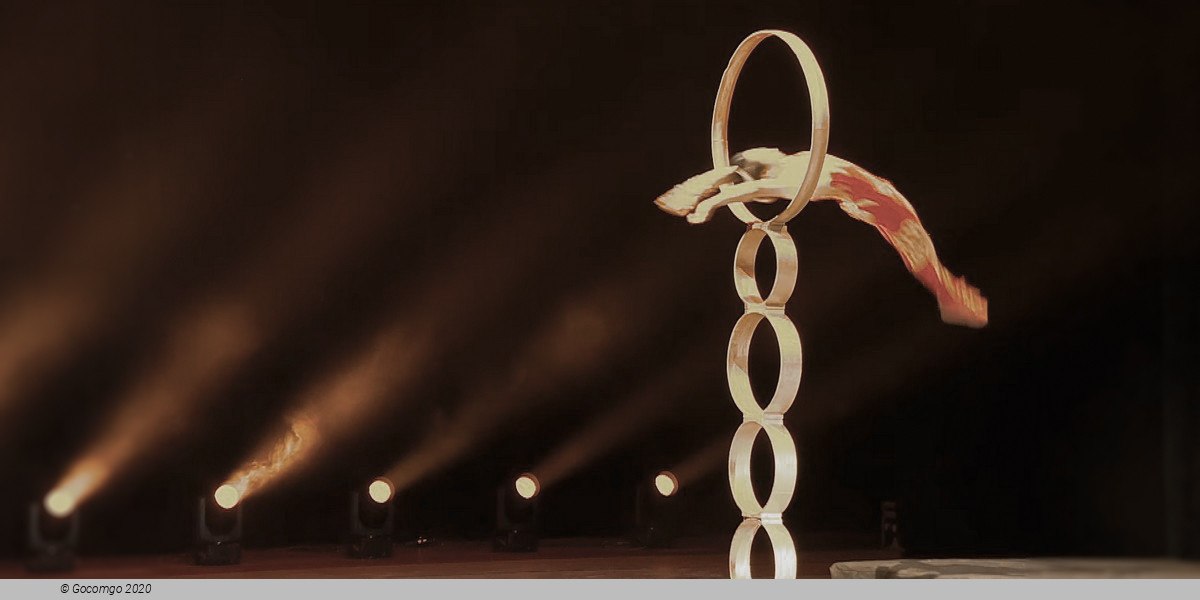 Circus Show, photo 1